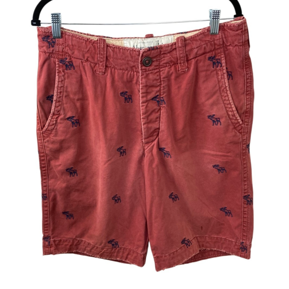 Abercrombie & Fitch Moose Print Shorts Heavyweight Embroidered Distressed 30 Y2K